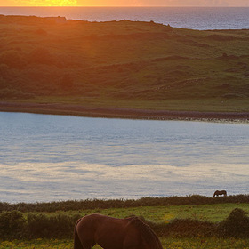 Пейзаж на закате с лошадками