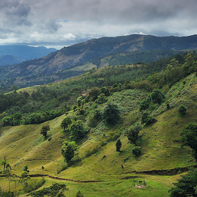 Плюшевые холмы Коста-Рики